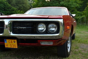 DSC_6137.JPG