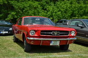 DSC_6264.JPG