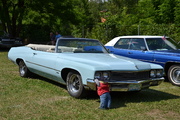 DSC_6422.JPG