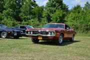 DSC_6534.JPG