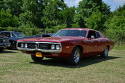 DSC_6535.JPG