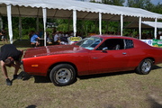 DSC_6554.JPG