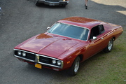 DSC_6560.JPG