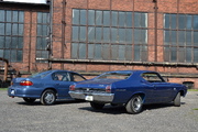 DSC_6633.JPG