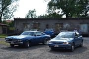 DSC_6635.JPG